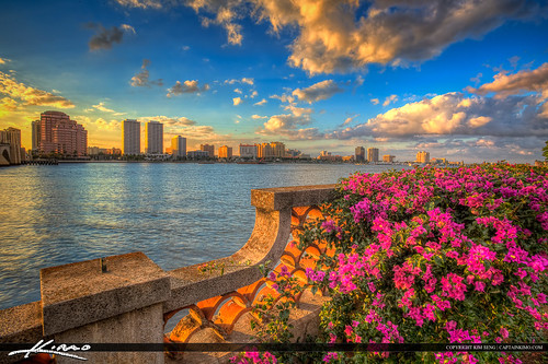West Palm Beach Flowers at Waterway by Captain Kimo