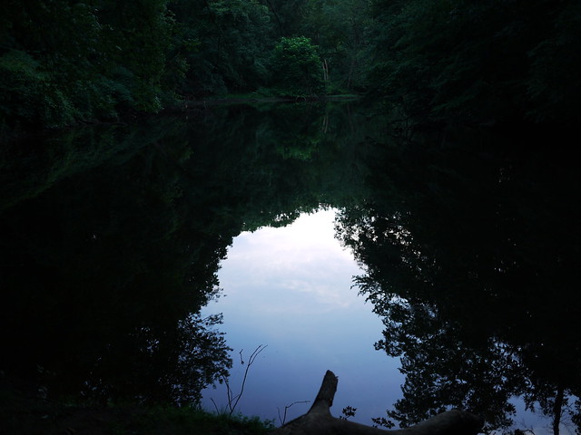 evening reflections in the passaic river