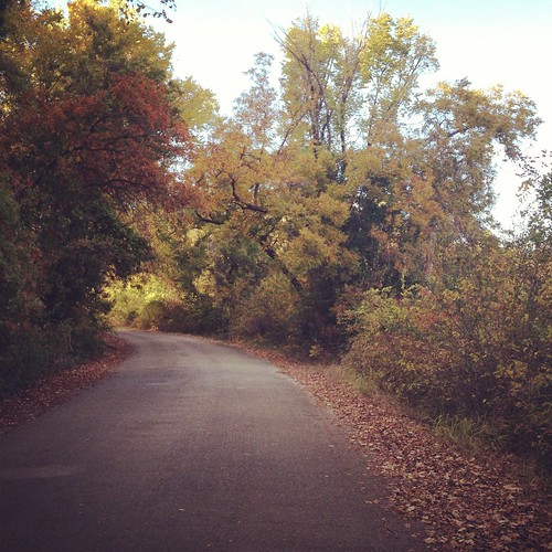 Fort Worth nature center on a perfect Fall day. We had a romantic picnic and hiked around.