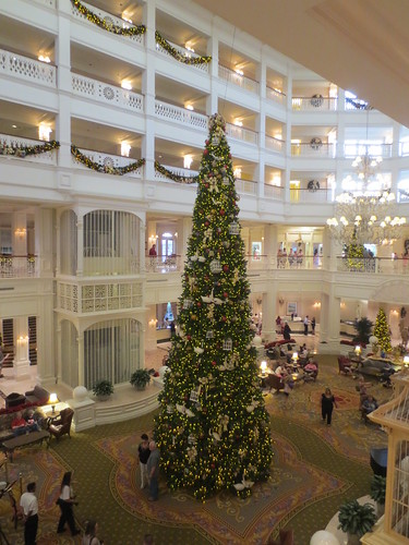 Giant tree at the Grand Floridian
