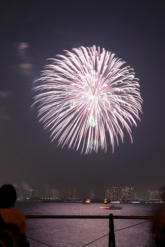 「昇小花 彩星芯 銀菊 電光浮模様」 by 田畑朝裕 東京湾大華火 2013 Tokyo Bay Grand Fireworks