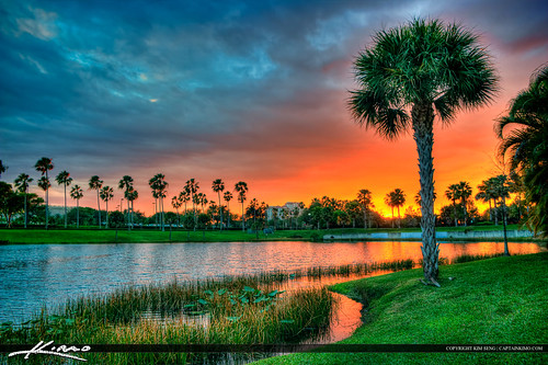 Palm Tree at Lake Property Sunset Palm Beach Gardens by Captain Kimo