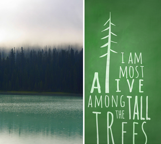 most alive among the tall trees