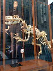 Vuitton Paleo on 57th & Fifth