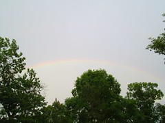 Rainbow by Teckelcar