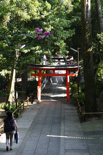 熊野神社参道にて by leicadaisuki