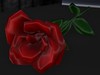 Rose Relic