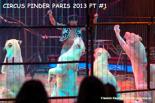 pinder paris 1213-056 (Small) by CIRCUS PHOTO CENTRAL