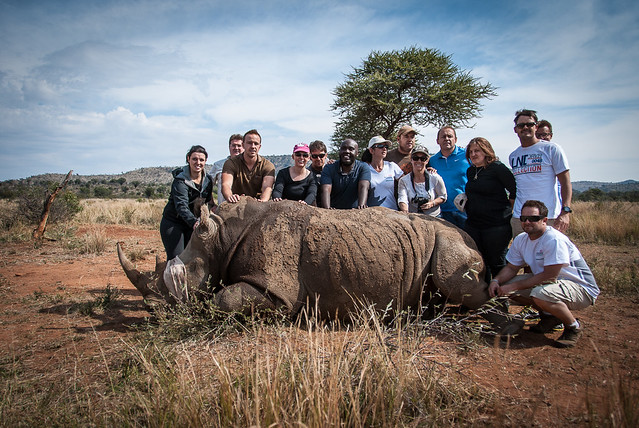 us with rhino