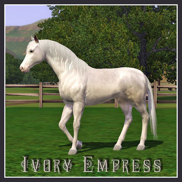 Ivory Empress - covershot 01