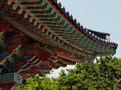 釜山 부산 Busan (Aug. 2013)