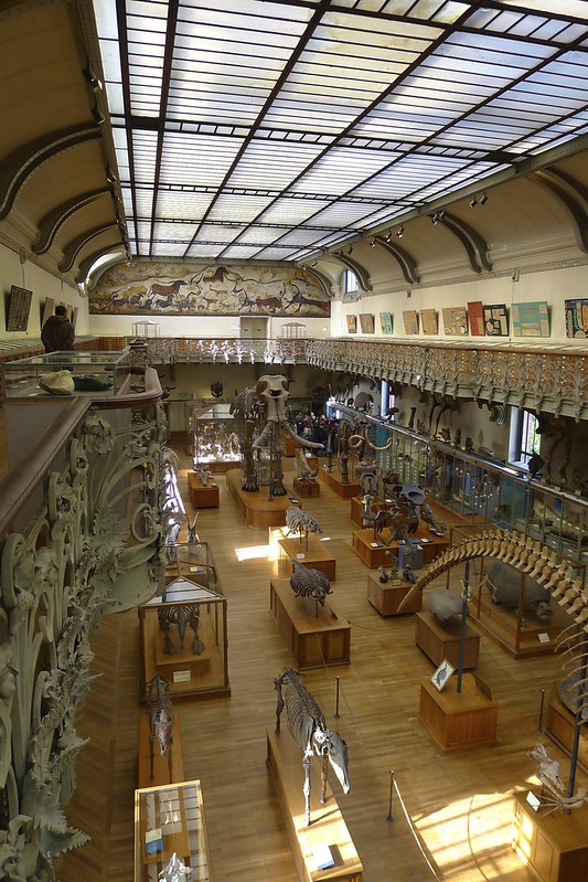 La galerie d'Anatomie comparée et de Paléontologie - Paris