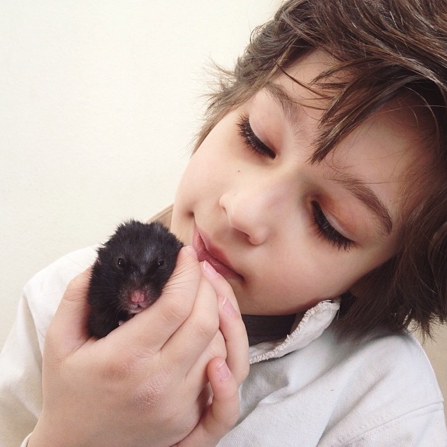 Will you please keep Luca in thought and prayer? This sweet black bear hamster has been his favorite of favorites for the past 2 years. Clover is his happy place and a source of constant comfort. We are saying goodbye today and it is oh so hard for our bo