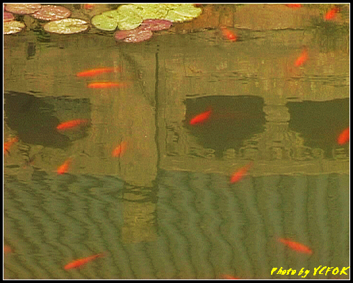 杭州 岳王廟 (岳飛) - 031 (岳飛紀念館前的魚池)