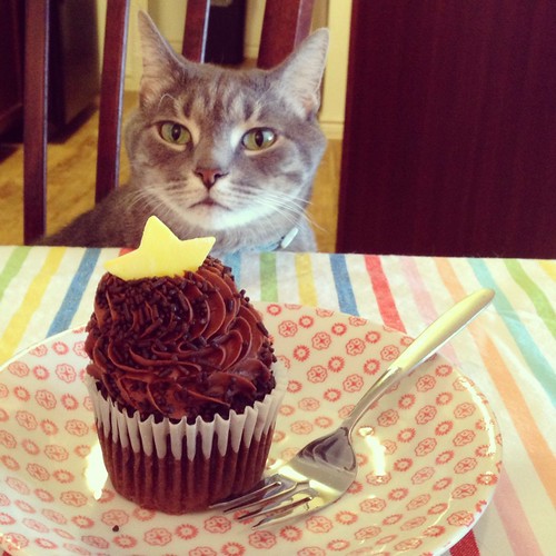 Sammy and the cupcake