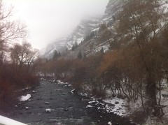 December 26, 2013 (Provo River Trail,Provo Canyon)