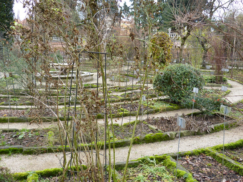Botanical Garden, Padua