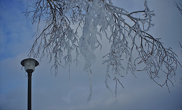 anteketborka.blogspot.com, hiver22