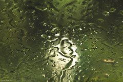 Glass and Rain