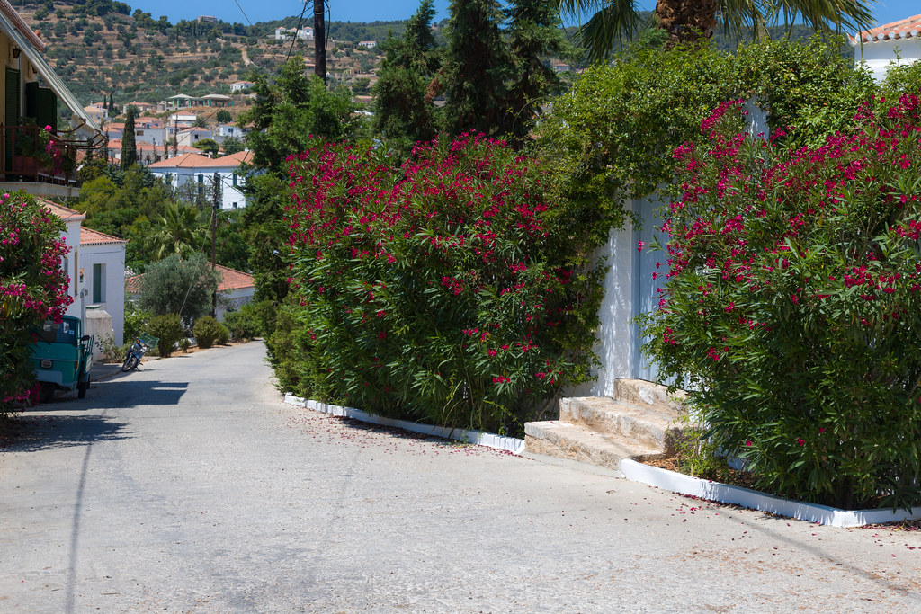 Spetses last day (9 of 10)