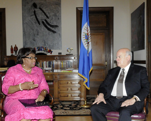 OAS Secretary General Receives the Director of PAHO