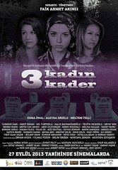 3 Kadın 3 Kader (2013)