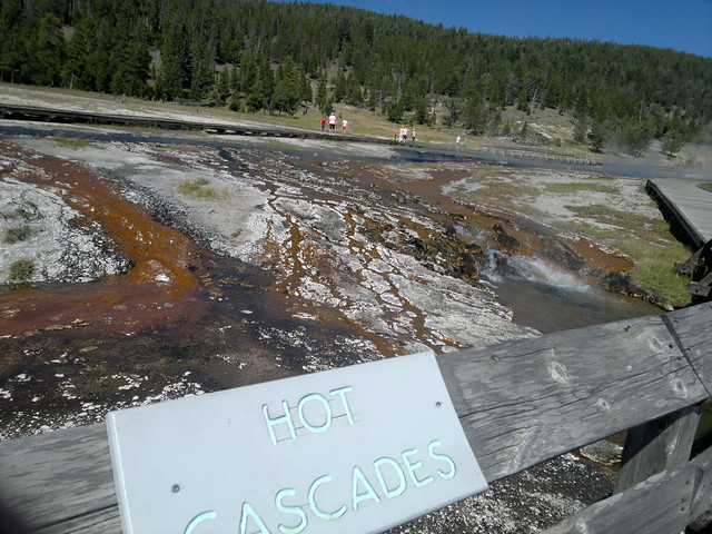 Martes Día 23 de Julio: Yellowstone (II) - 25 días por los parques nacionales del Oeste de USA: un Road Trip de 10500 kms (73)