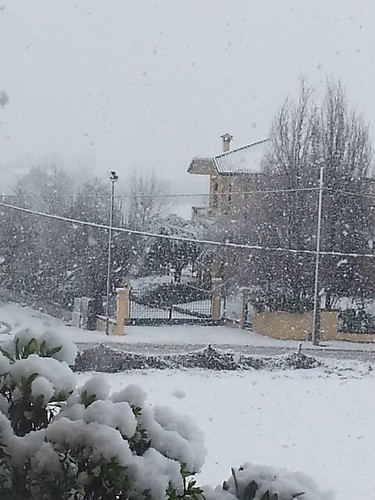 Neve a S.Mauro Pascoli 28/01/2014 by meteomike