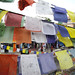 Prayer flags and Bylakuppe street