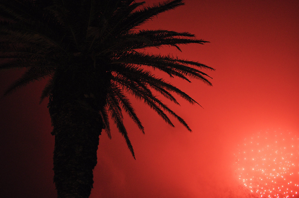 Bentenjima Fireworks - Red Palm Burst