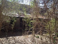 Ruins Near Caney Creek 2 