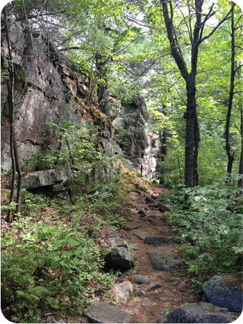 View of the trail