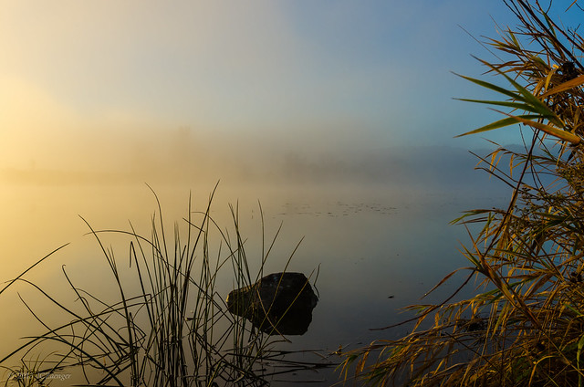 Misty Morn at Hidden Lake 02
