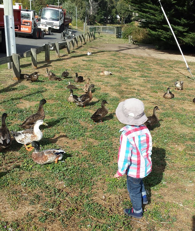 At the duck park - bonus diggers!