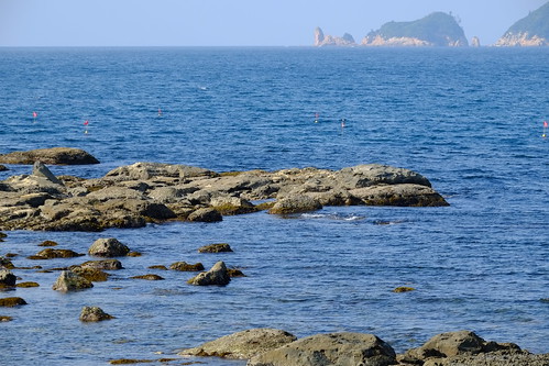 Oumijima Island and Fukagawa Bay, Nagato City (10)