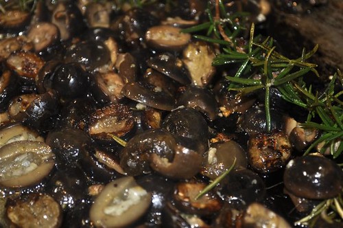 black olives seared in olive oil 16