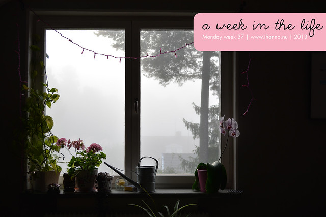 Week in the Life | Misty Monday Morning