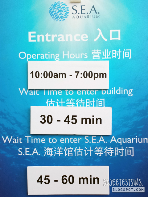 waiting time to enter sea aquarium
