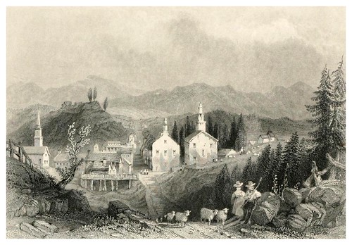 003-Forest, rock, and stream- 1886- W.H. Bartlett y otros