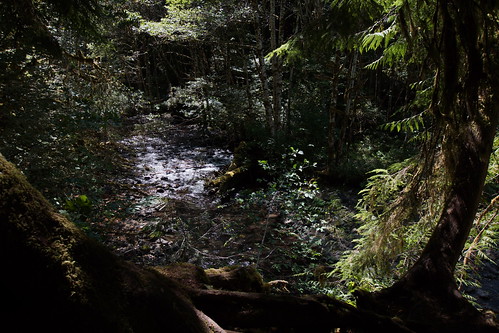 060_Olympic NP_072913_Marymere Falls hike