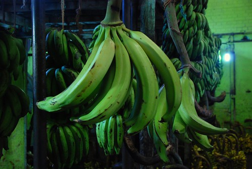 bananas 2, Colombo
