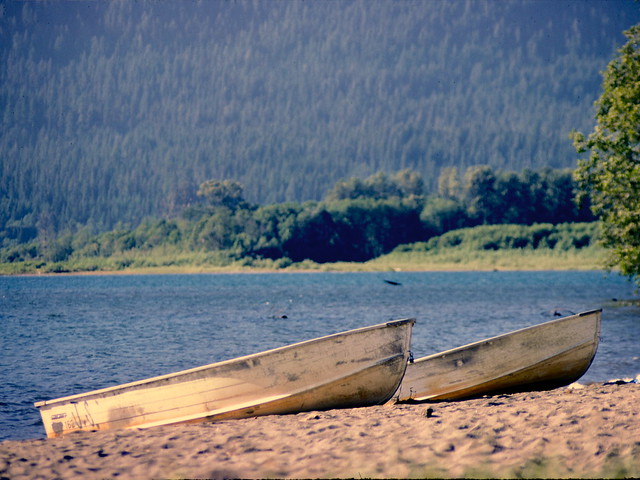 Lake Quinault, Olympic National Park, Washington State, July 1979