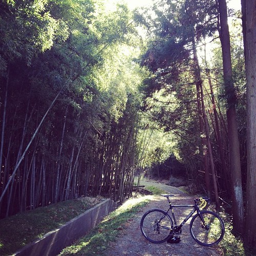 新たな（都会の⁈）トレイルコース発見。 #bike #trail #cyclocross #ridley