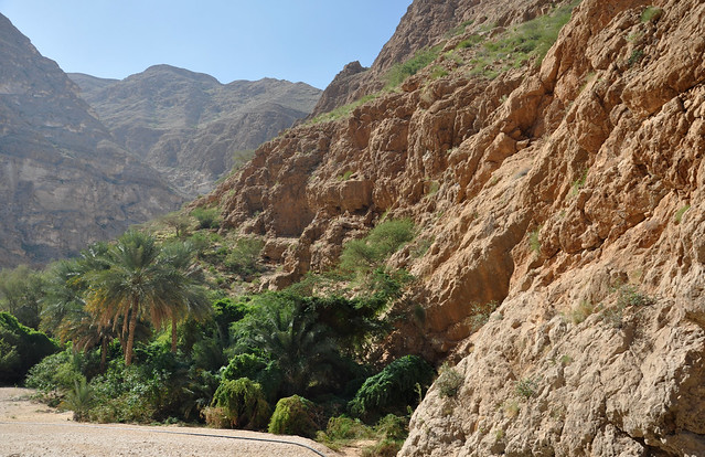 Wadi Shab (24)
