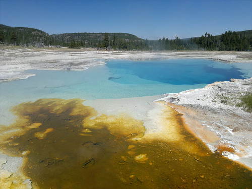 Martes Día 23 de Julio: Yellowstone (II) - 25 días por los parques nacionales del Oeste de USA: un Road Trip de 10500 kms (53)