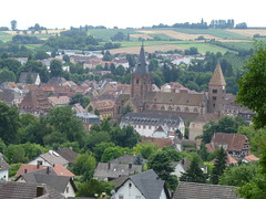 Blick auf Wissembourg von den Weinbergen