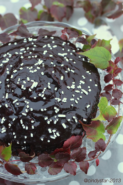 torta nera-finta sacher-black cake-fake sacher