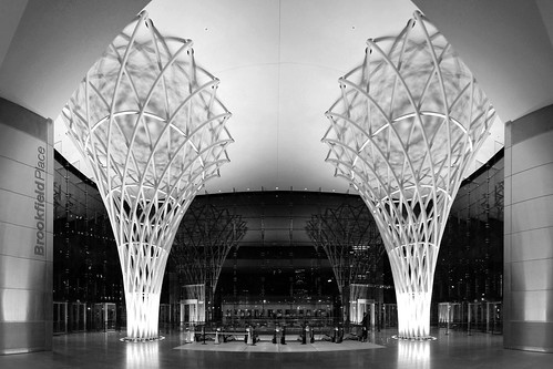 Calatrava Ribcage by jankor