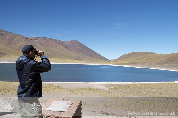 Lagunas Altiplanicas - Atacama 13