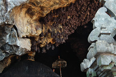 Goa Lawah (Bat Cave) (Bali)